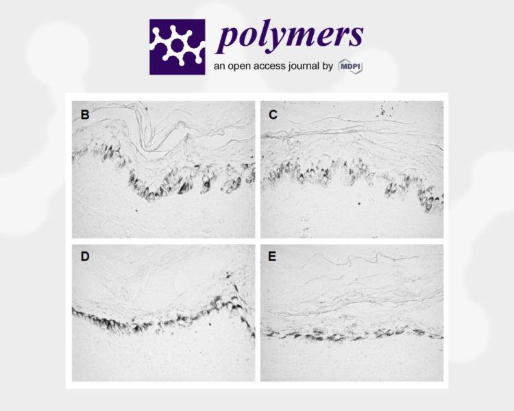 Issue 11: CELLBOOSTER® GLOW: Anti-Aging and Depigmentation Effect of a Hyaluronic Acid Mechanically Stabilized Complex on Human Skin Explants